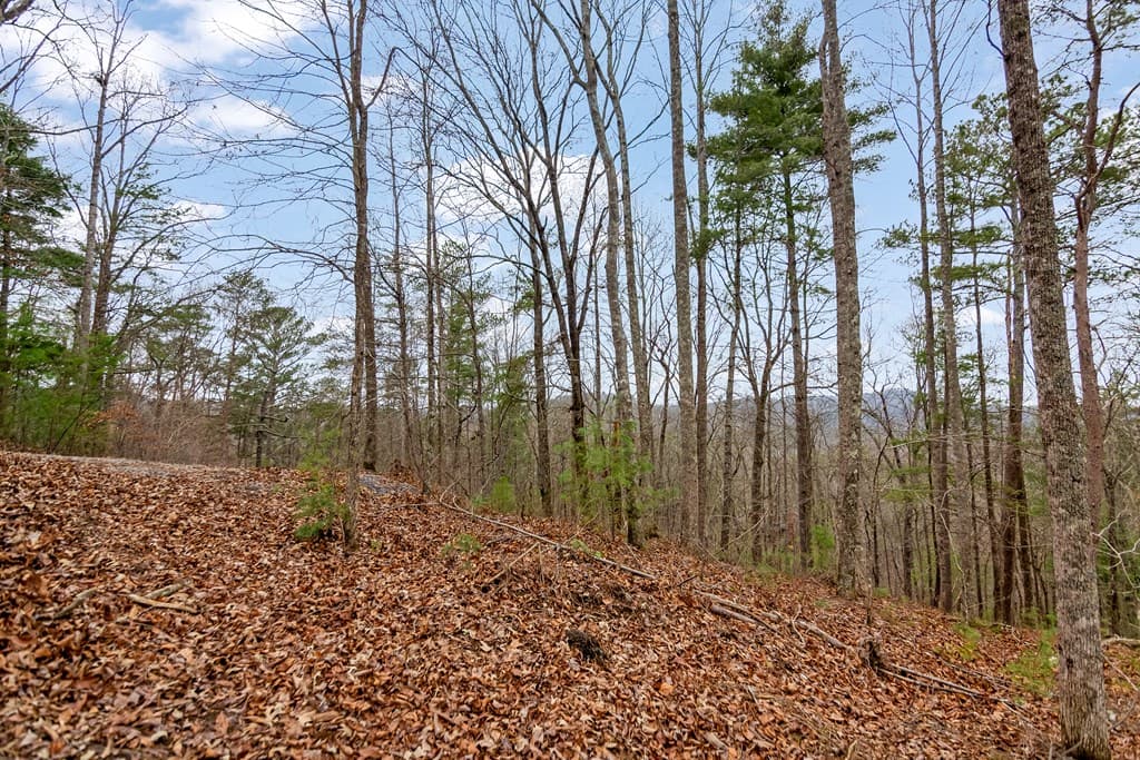 lot 1694 Shade Tree Drive, Talking Rock GA 30175 - Photo