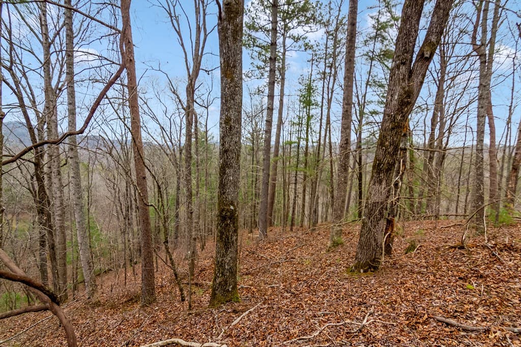 lot 1694 Shade Tree Drive, Talking Rock GA 30175 - Photo