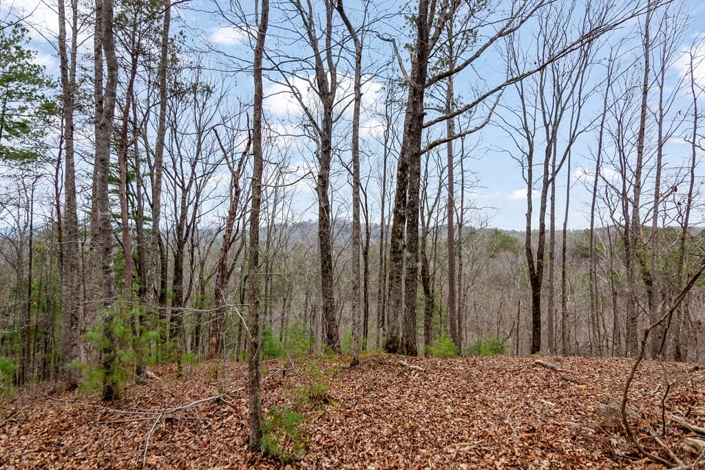 lot 1694 Shade Tree Drive, Talking Rock GA 30175 - Photo