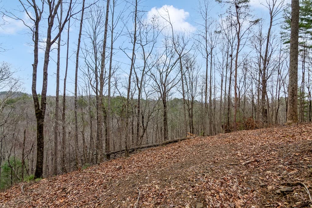 lot 1694 Shade Tree Drive, Talking Rock GA 30175 - Photo