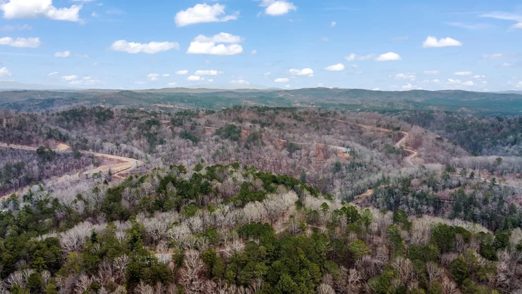 lot 1694 Shade Tree Drive, Talking Rock GA 30175 - Photo
