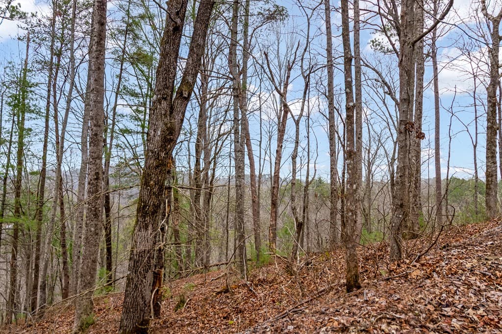 lot 1694 Shade Tree Drive, Talking Rock GA 30175 - Photo