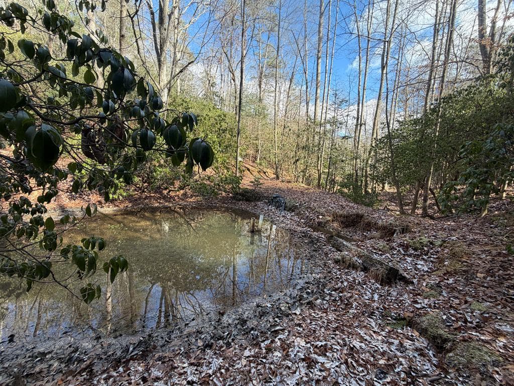 636 Bear Paw Trail, Blue Ridge GA 30513 - Photo