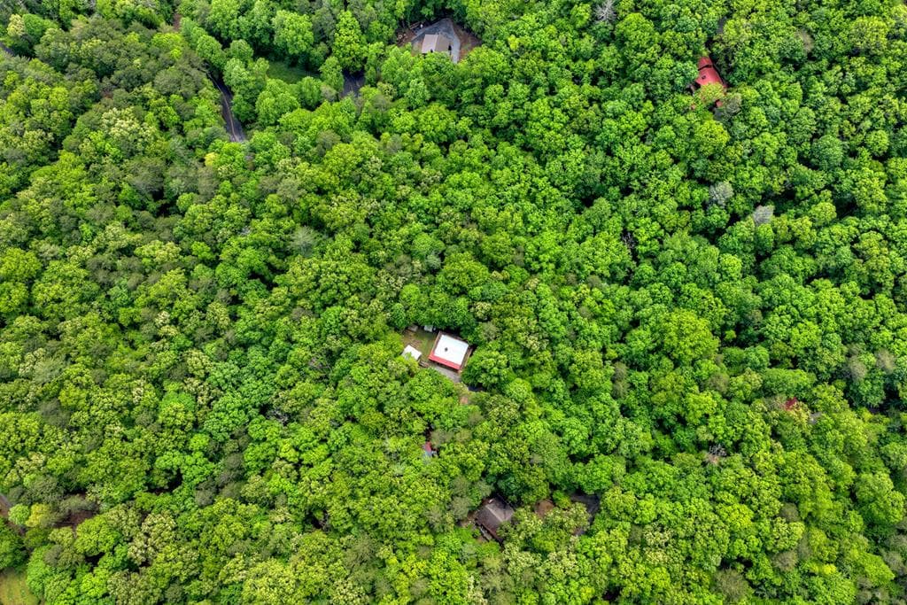 636 Bear Paw Trail, Blue Ridge GA 30513 - Photo
