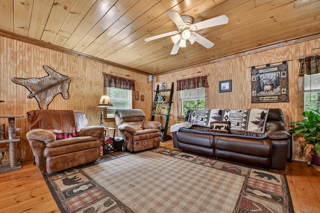 636 Bear Paw Trail, Blue Ridge GA 30513 - Photo