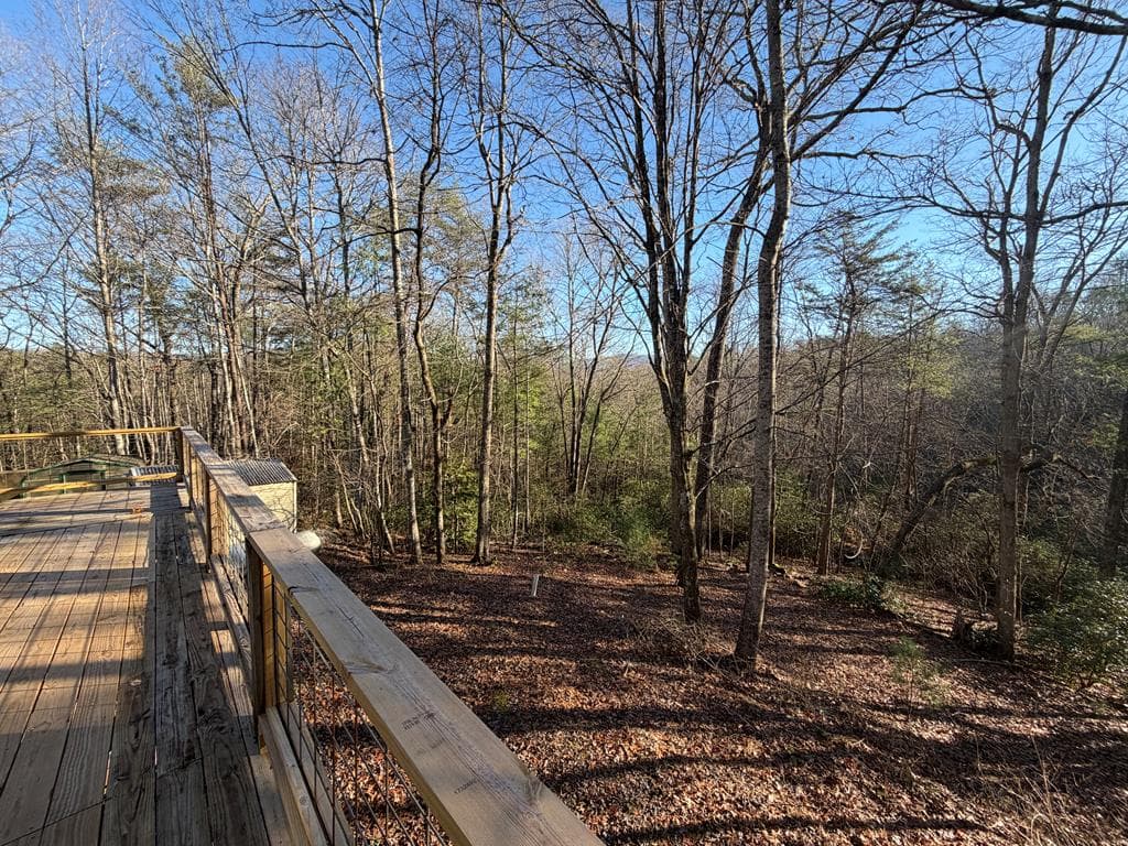 636 Bear Paw Trail, Blue Ridge GA 30513 - Photo