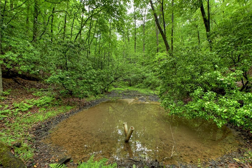 636 Bear Paw Trail, Blue Ridge GA 30513 - Photo