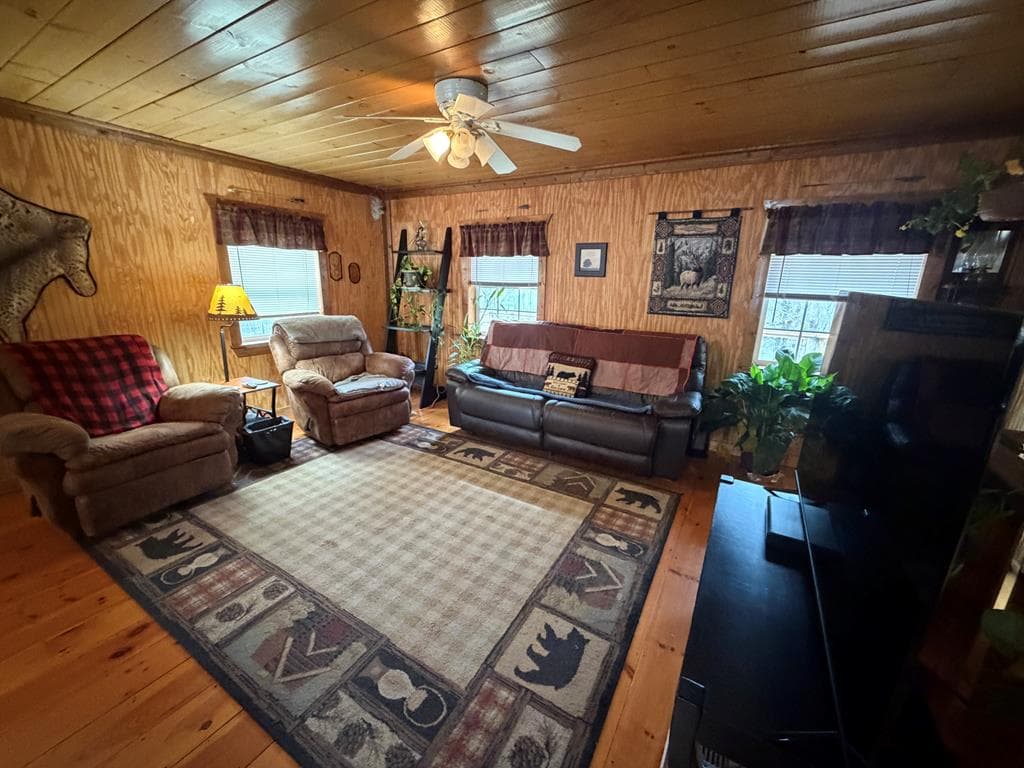 636 Bear Paw Trail, Blue Ridge GA 30513 - Photo