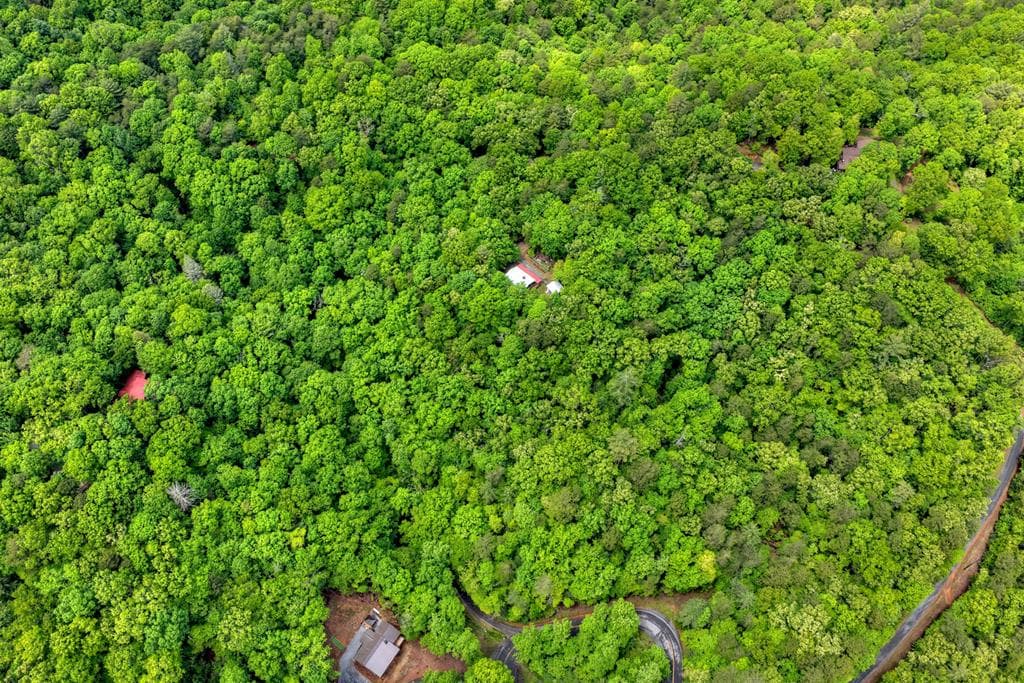 636 Bear Paw Trail, Blue Ridge GA 30513 - Photo
