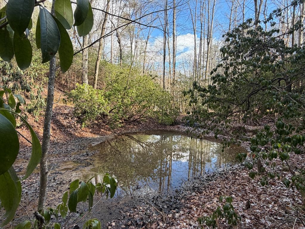 636 Bear Paw Trail, Blue Ridge GA 30513 - Photo