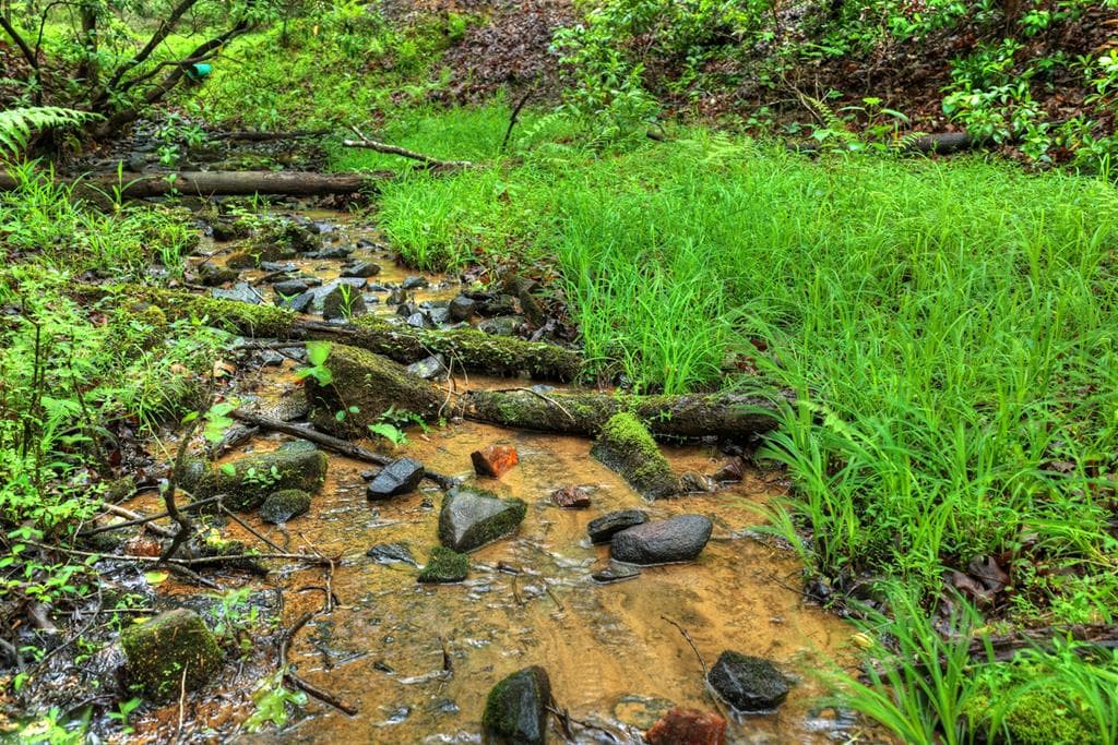636 Bear Paw Trail, Blue Ridge GA 30513 - Photo