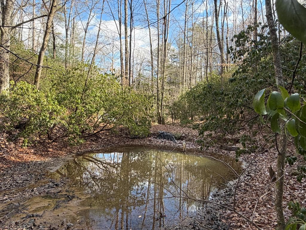 636 Bear Paw Trail, Blue Ridge GA 30513 - Photo