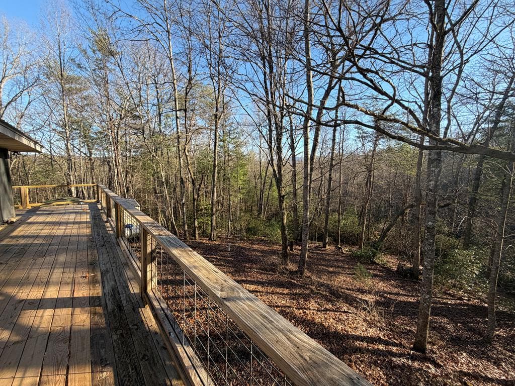 636 Bear Paw Trail, Blue Ridge GA 30513 - Photo