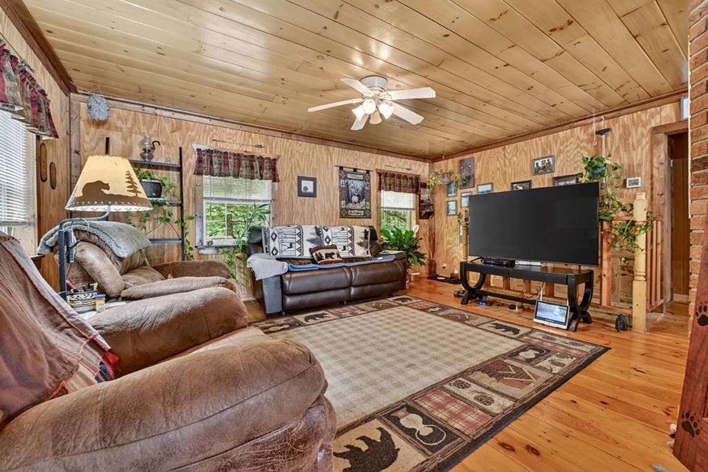 636 Bear Paw Trail, Blue Ridge GA 30513 - Photo