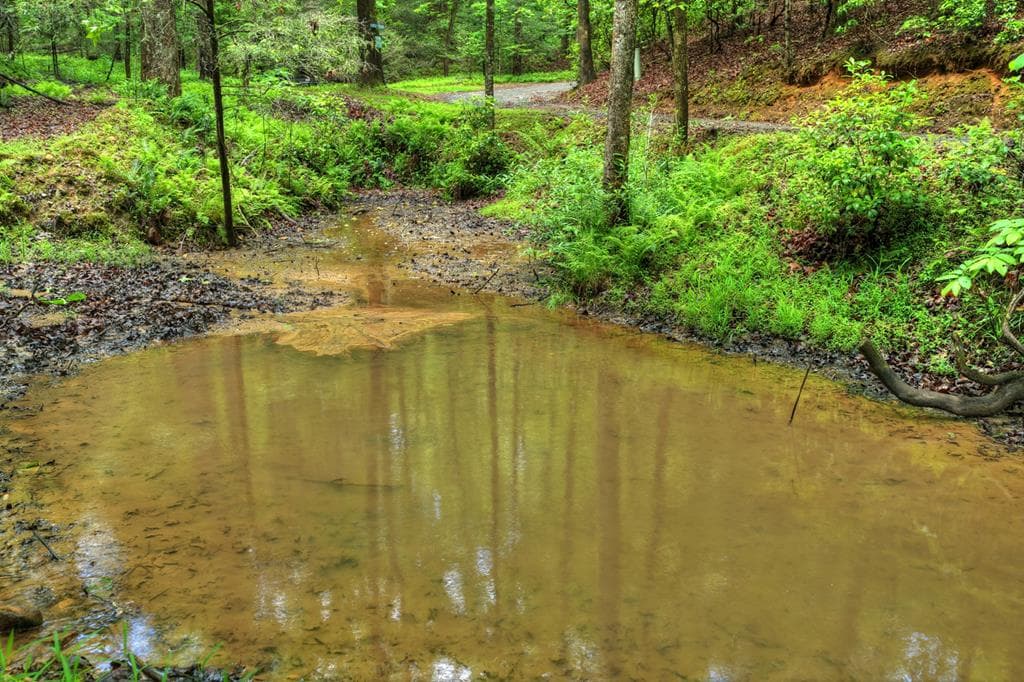 636 Bear Paw Trail, Blue Ridge GA 30513 - Photo