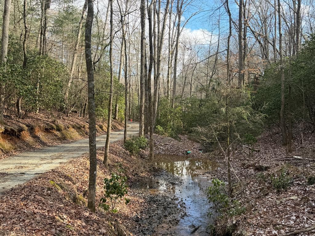 636 Bear Paw Trail, Blue Ridge GA 30513 - Photo