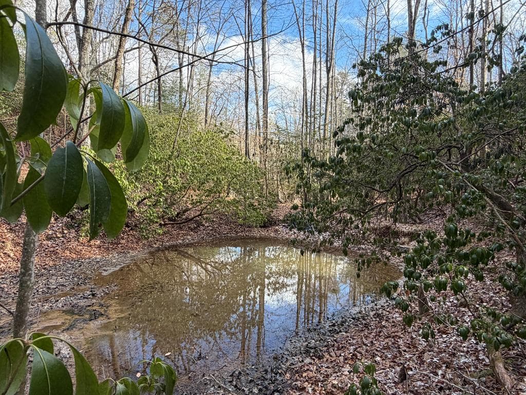 636 Bear Paw Trail, Blue Ridge GA 30513 - Photo