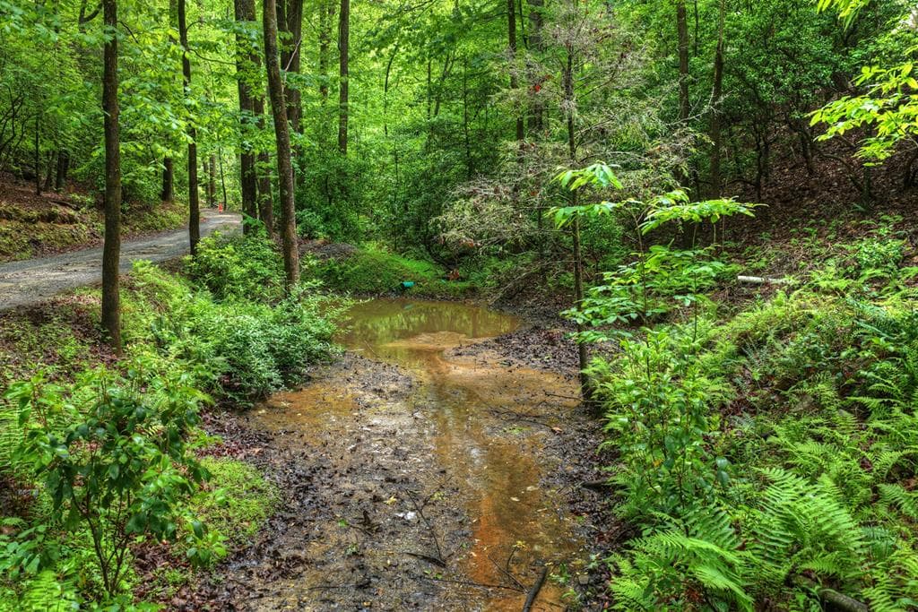 636 Bear Paw Trail, Blue Ridge GA 30513 - Photo