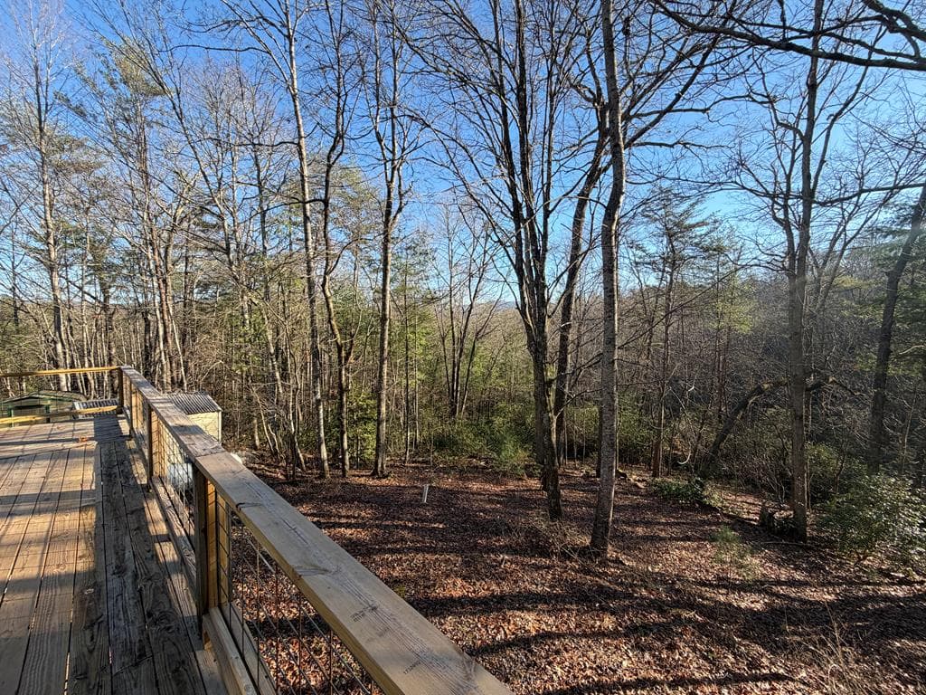 636 Bear Paw Trail, Blue Ridge GA 30513 - Photo