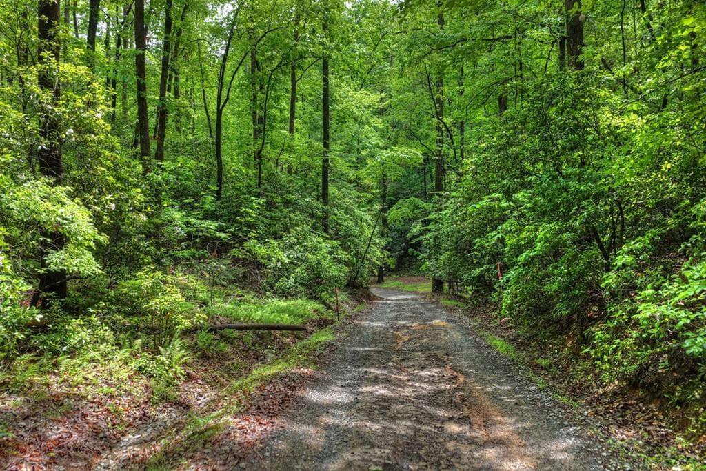 636 Bear Paw Trail, Blue Ridge GA 30513 - Photo