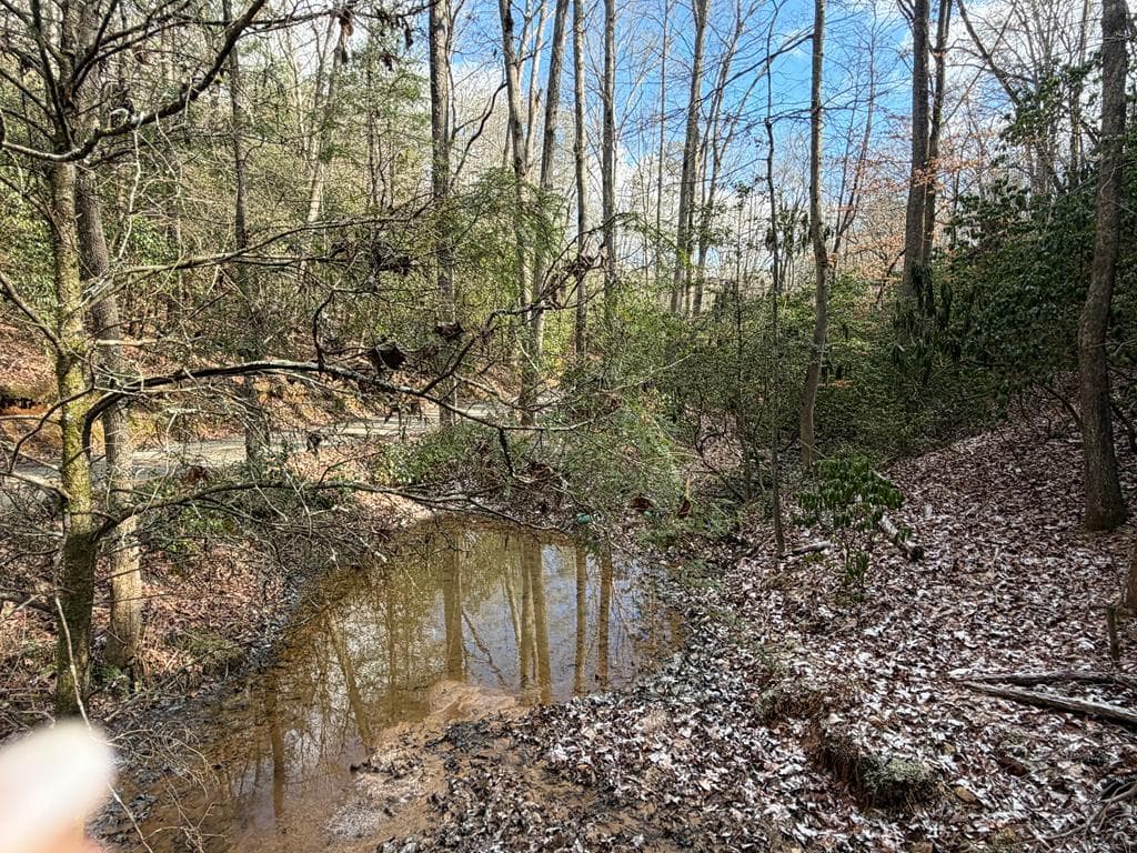 636 Bear Paw Trail, Blue Ridge GA 30513 - Photo