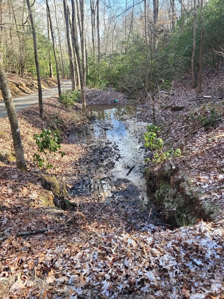 636 Bear Paw Trail, Blue Ridge GA 30513 - Photo