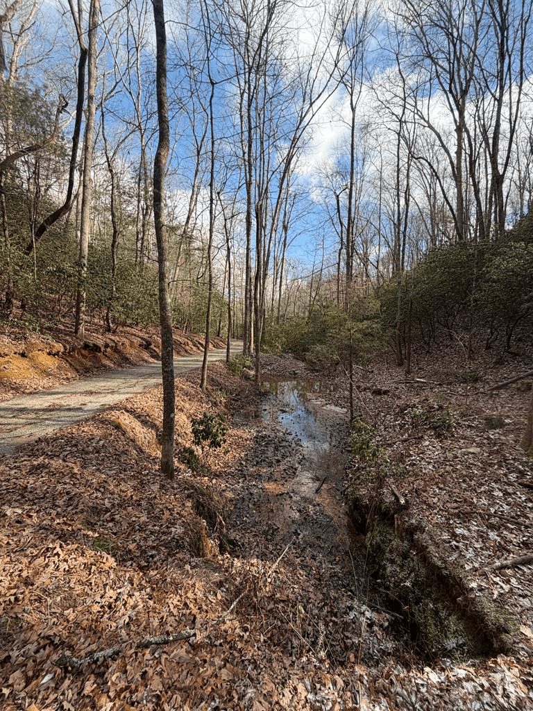 636 Bear Paw Trail, Blue Ridge GA 30513 - Photo