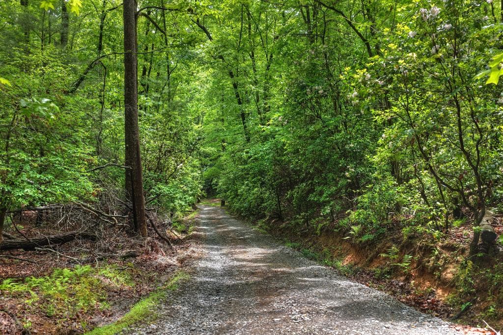 636 Bear Paw Trail, Blue Ridge GA 30513 - Photo