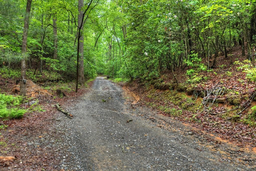 636 Bear Paw Trail, Blue Ridge GA 30513 - Photo