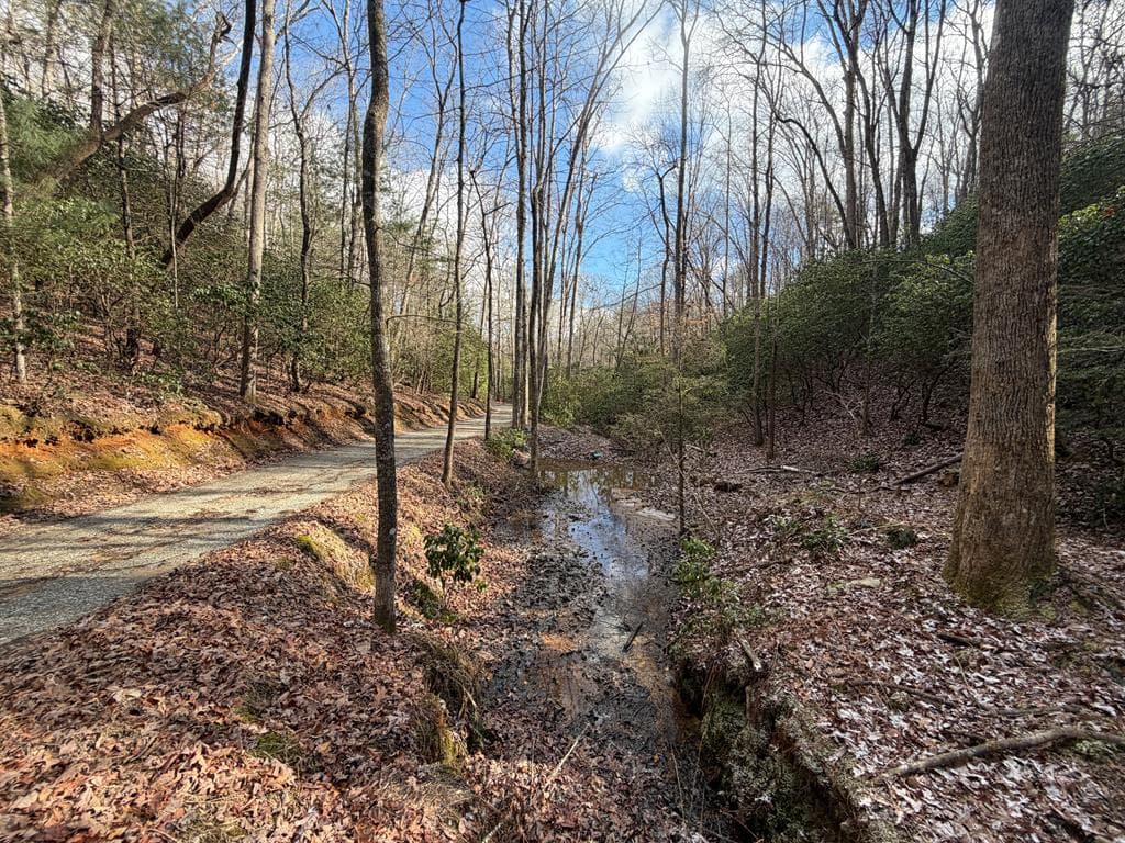 636 Bear Paw Trail, Blue Ridge GA 30513 - Photo