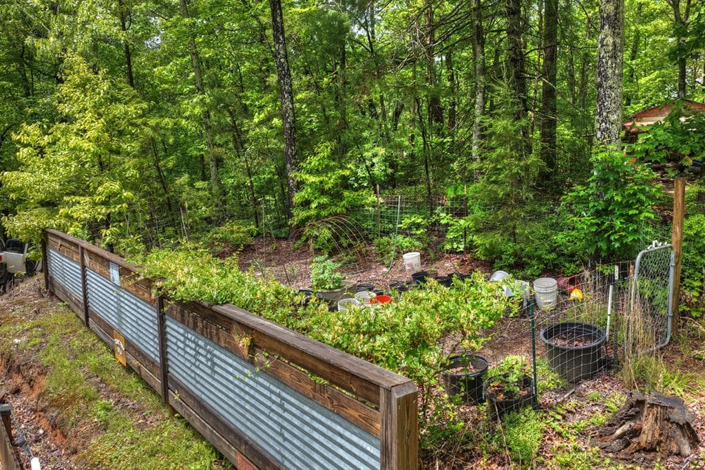 636 Bear Paw Trail, Blue Ridge GA 30513 - Photo