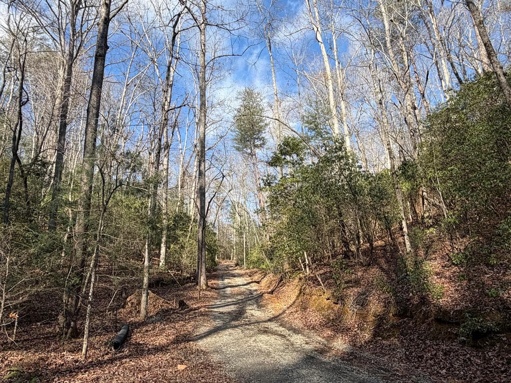 636 Bear Paw Trail, Blue Ridge GA 30513 - Photo