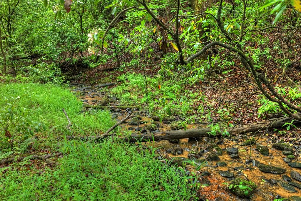 636 Bear Paw Trail, Blue Ridge GA 30513 - Photo