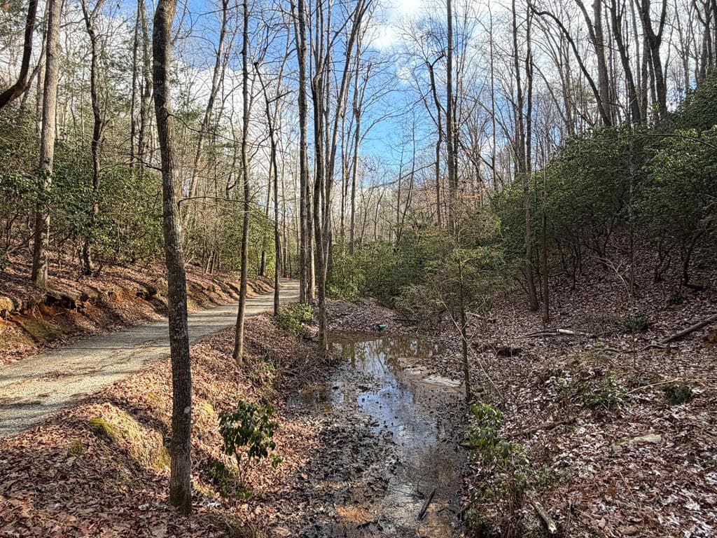 636 Bear Paw Trail, Blue Ridge GA 30513 - Photo