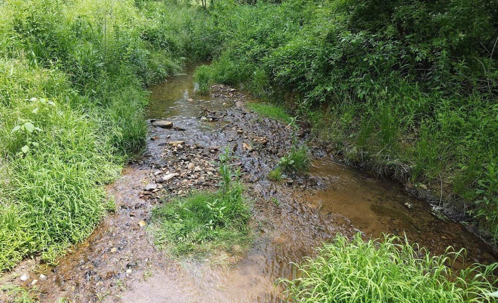 3988 Humphrey Mill Road, Mineral Bluff GA 30559 - Photo