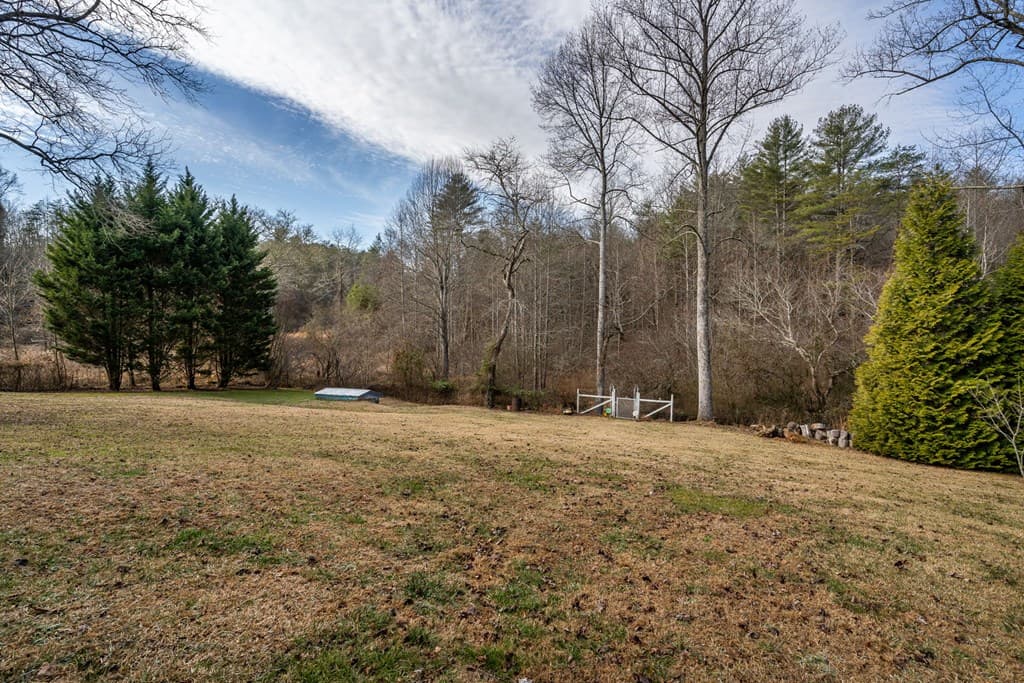 3988 Humphrey Mill Road, Mineral Bluff GA 30559 - Photo
