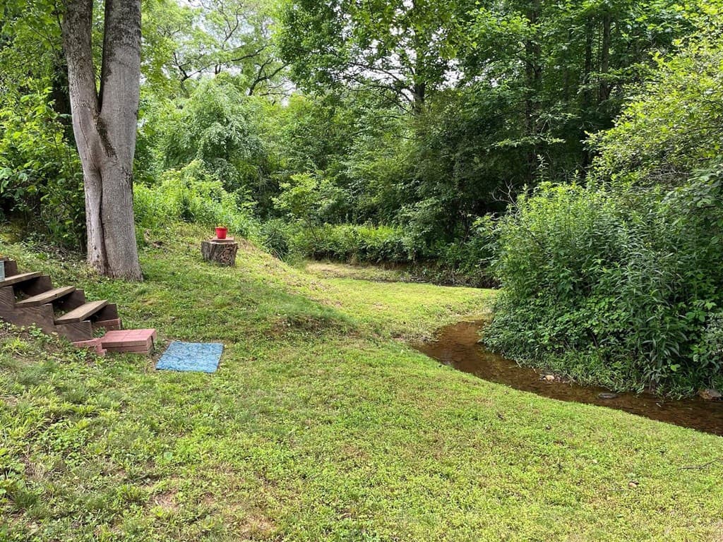 3988 Humphrey Mill Road, Mineral Bluff GA 30559 - Photo