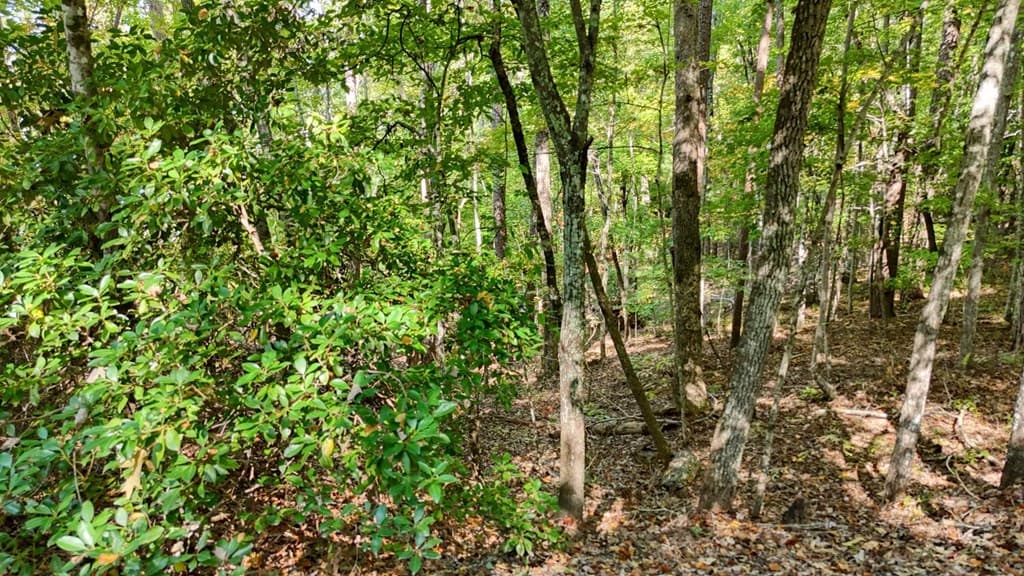 .76 Acre Charlotte Circle, Blue Ridge GA 30560 - Photo