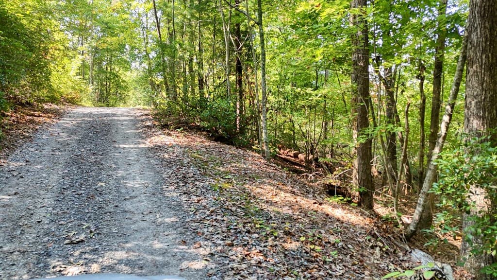 .76 Acre Charlotte Circle, Blue Ridge GA 30560 - Photo
