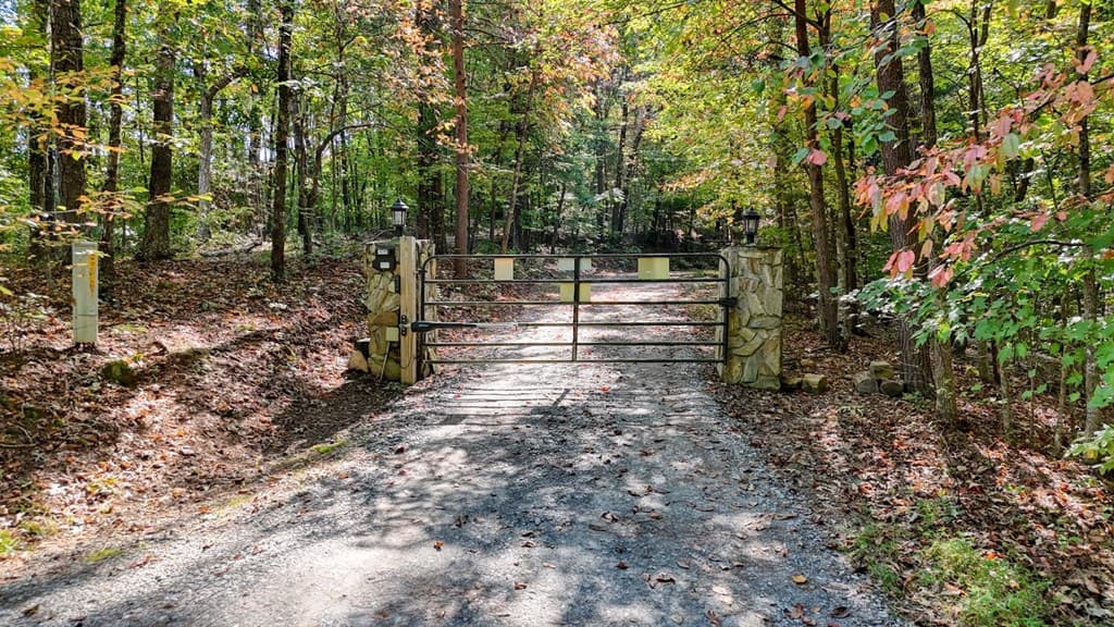 .76 Acre Charlotte Circle, Blue Ridge GA 30560 - Photo