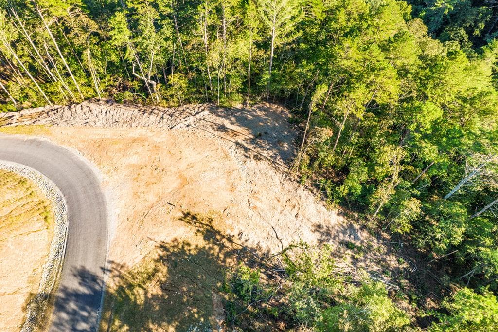 LOT 183 Canoe Point, Ellijay GA 30540 - Photo
