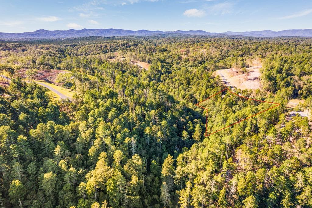 LOT 183 Canoe Point, Ellijay GA 30540 - Photo