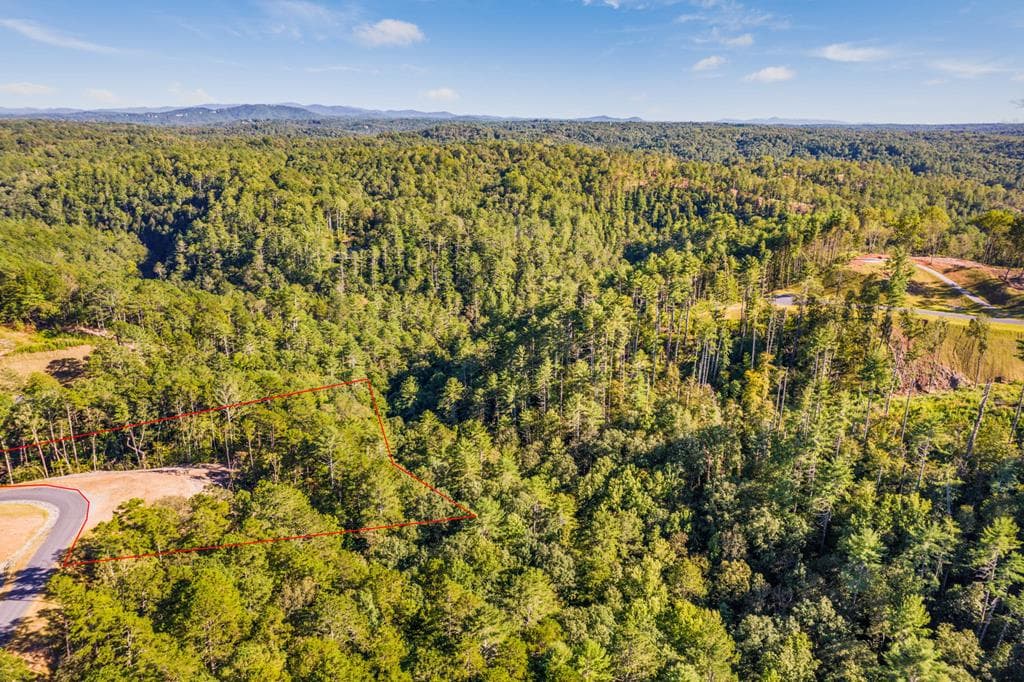 LOT 183 Canoe Point, Ellijay GA 30540 - Photo