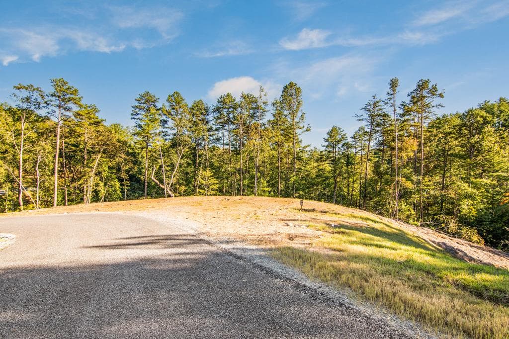 LOT 183 Canoe Point, Ellijay GA 30540 - Photo