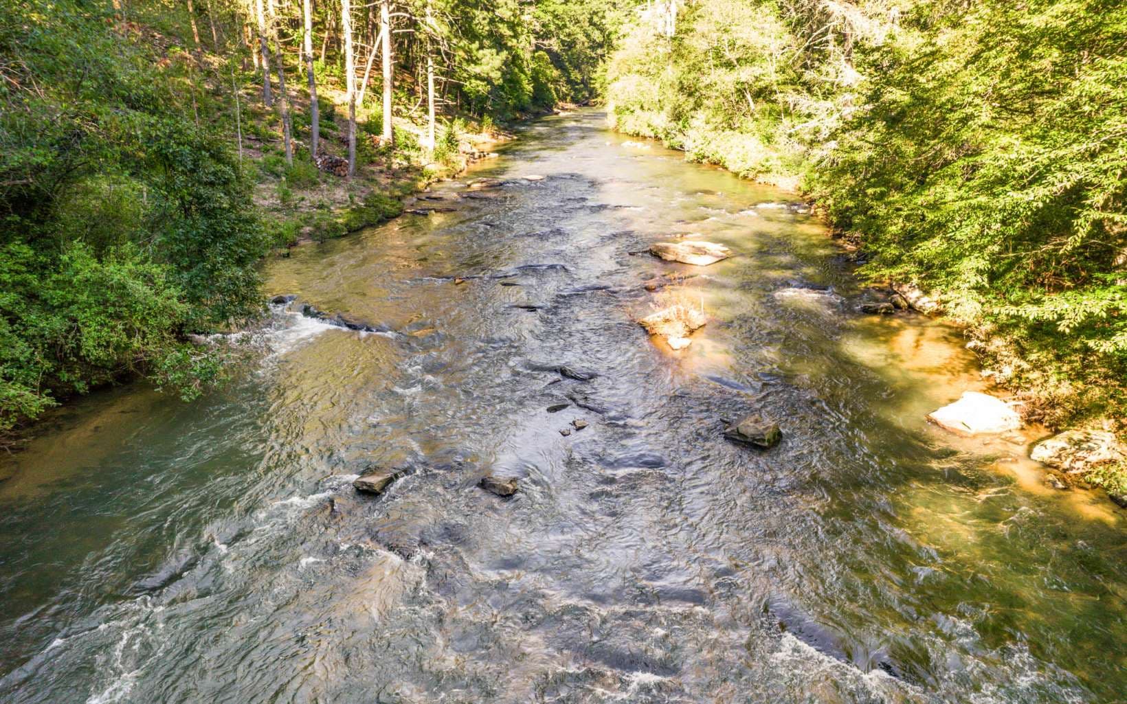 LOT 183 Canoe Point, Ellijay GA 30540 - Primary photo