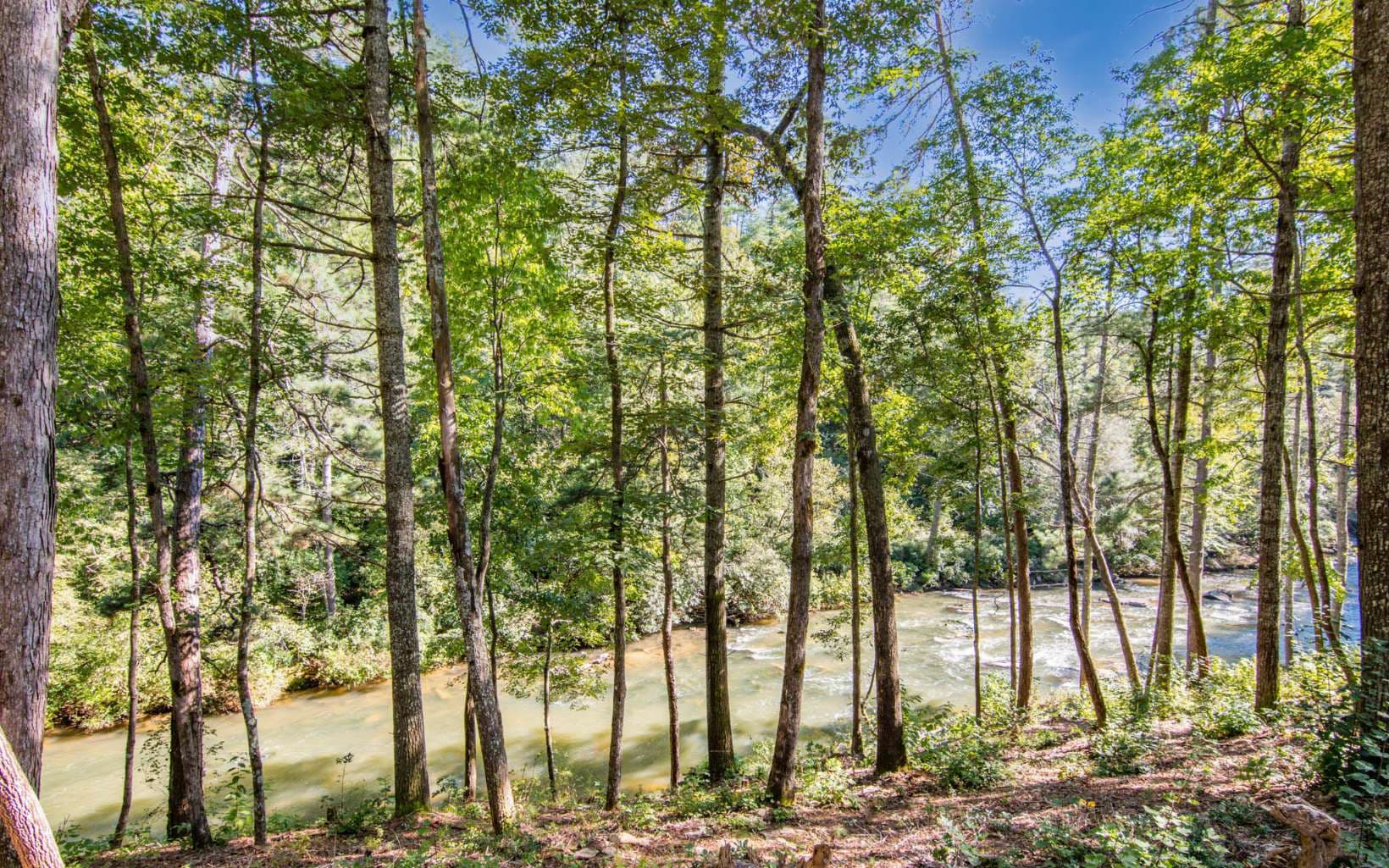 LOT 183 Canoe Point, Ellijay GA 30540 - Photo