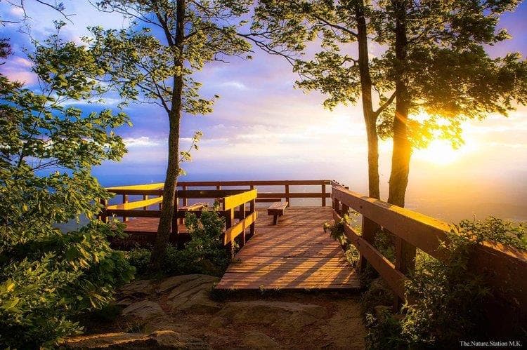 LOT 183 Canoe Point, Ellijay GA 30540 - Photo