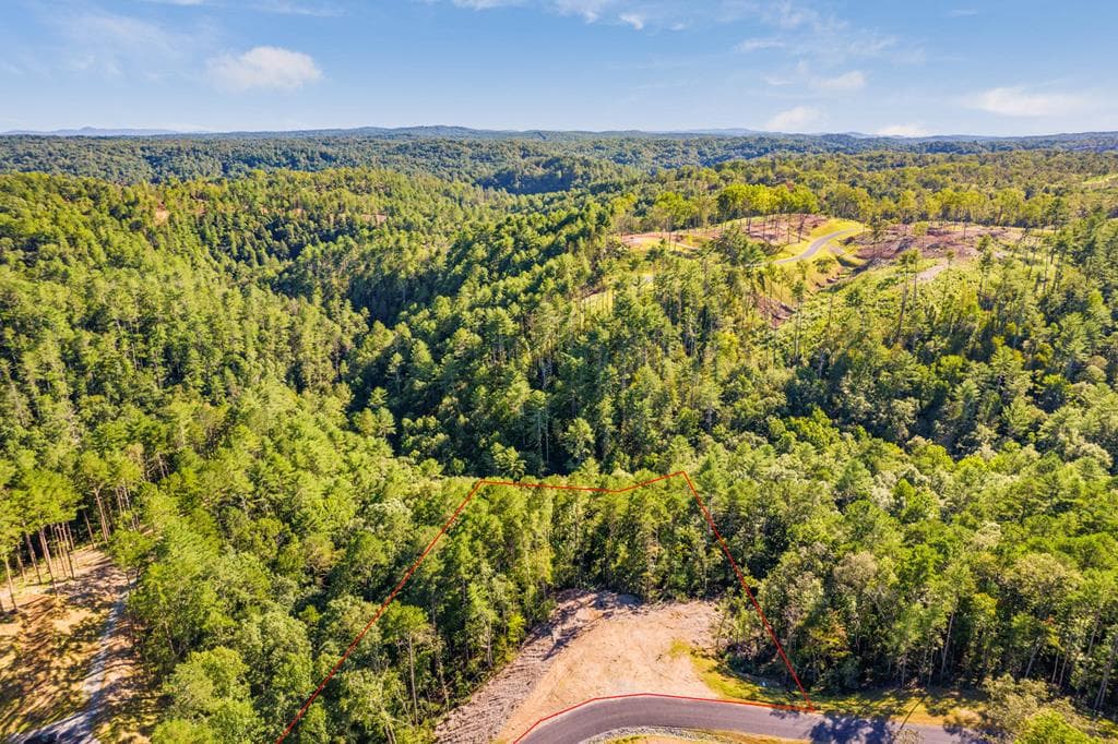 LOT 183 Canoe Point, Ellijay GA 30540 - Photo