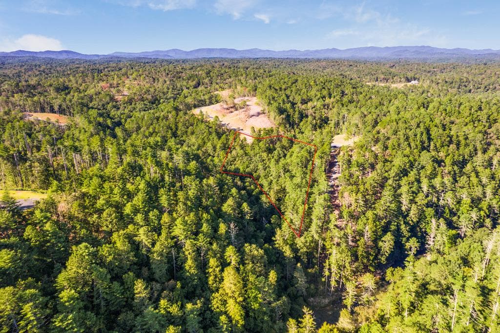 LOT 183 Canoe Point, Ellijay GA 30540 - Photo