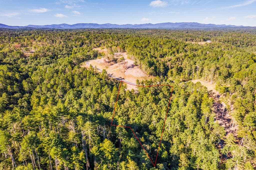 LOT 183 Canoe Point, Ellijay GA 30540 - Photo